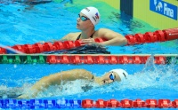 Kubova Apostalon maly