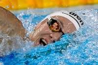 SEEMANOVA 2025 small